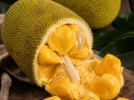 Cempedak