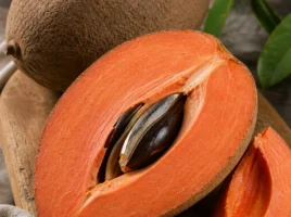 Große Sapote; Mamey Sapote