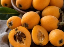 Loquat