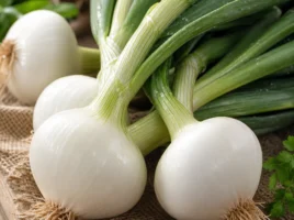 Netzmelonen
