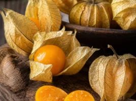 Physalis
