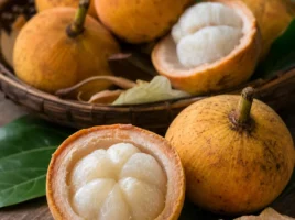 Santol