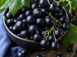 Schwarze Johannisbeeren