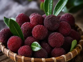 Yumberry; Myrica rubra